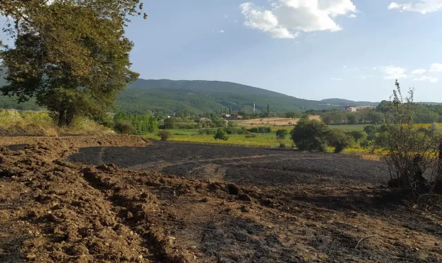 Samsun’da anız yangınında 20 dönüm buğday ekili alan zarar gördü Samsun’da anız yangınında 20 dönüm buğday ekili alan zarar gördü