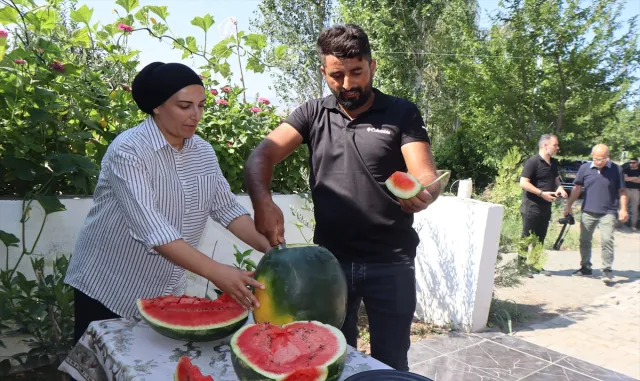 Iğdır’da üretilen karpuzun dördüncü hasadı başladı Iğdır’da üretilen karpuzun dördüncü hasadı başladı