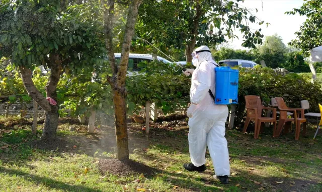 Samsun’da çiftçilere kahverengi kokarca ile mücadele yöntemleri anlatıldı Samsun’da çiftçilere kahverengi kokarca ile mücadele yöntemleri anlatıldı