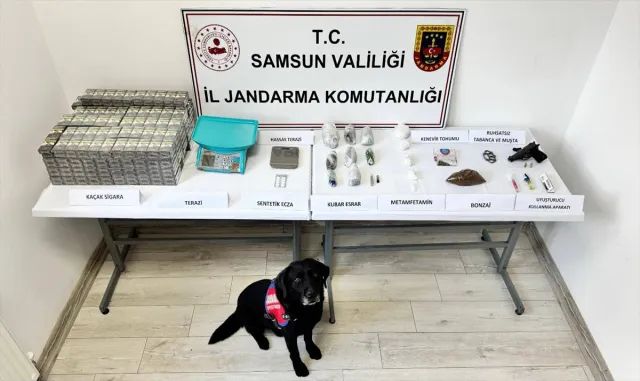 Araca saklanan uyuşturucu "Tahra"nın hassas burnundan kaçmadı Araca saklanan uyuşturucu "Tahra"nın hassas burnundan kaçmadı