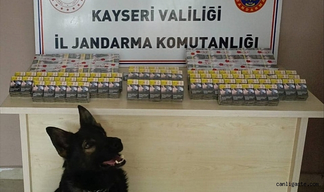 Kayseri’de 300 paket bandrolsüz sigara ele geçirildi Kayseri’de 300 paket bandrolsüz sigara ele geçirildi