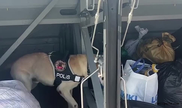 Kayseri’de kaçakçılık operasyonu: 3 kişi yakalandı Kayseri’de kaçakçılık operasyonu: 3 kişi yakalandı