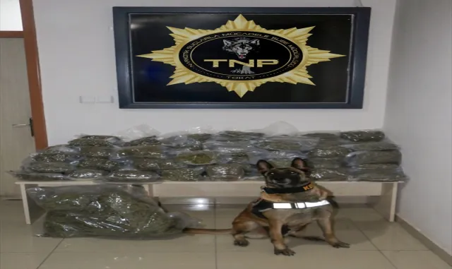 Tokat’ta 73 kilogram uyuşturucu ele geçirildi Tokat’ta 73 kilogram uyuşturucu ele geçirildi