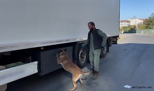 Edirne’de tırda 24 kilo 300 gram kokain ele geçirildi Edirne’de tırda 24 kilo 300 gram kokain ele geçirildi
