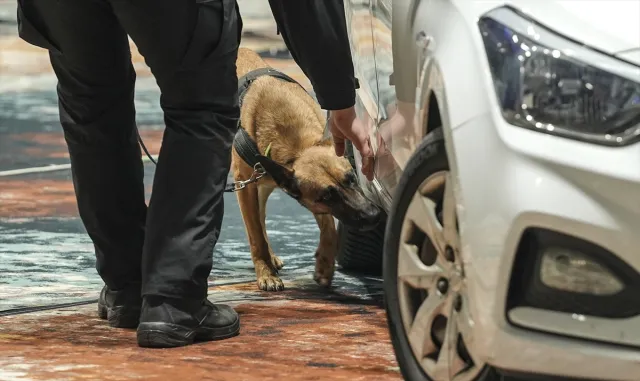 Bosna Hersek’te K9 köpekleri narkotik, silah ve patlayıcı tespiti alanlarında yarıştı Bosna Hersek’te K9 köpekleri narkotik, silah ve patlayıcı tespiti alanlarında yarıştı