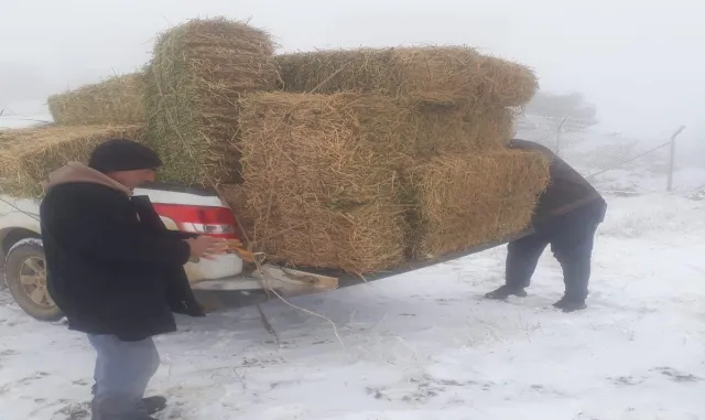 Kırşehir’de yaban hayvanları için doğaya yem bırakıldı Kırşehir’de yaban hayvanları için doğaya yem bırakıldı