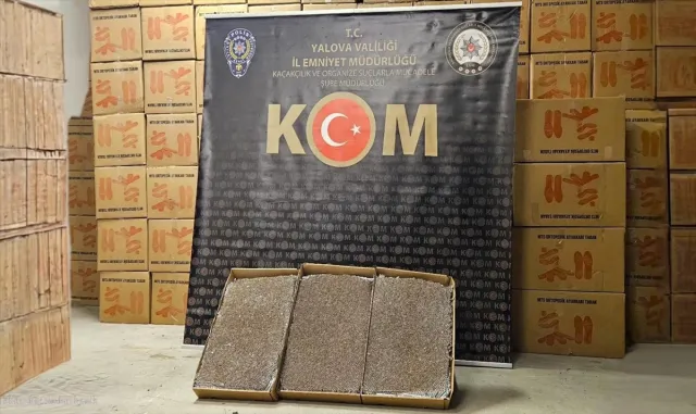 Yalova’da durdurulan kamyonda 3 milyon 360 bin makaron ele geçirildi Yalova’da durdurulan kamyonda 3 milyon 360 bin makaron ele geçirildi