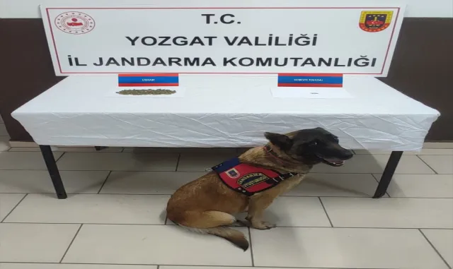 Yozgat’ta uyuşturucu operasyonunda 4 şüpheli yakalandı Yozgat’ta uyuşturucu operasyonunda 4 şüpheli yakalandı