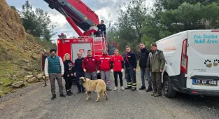 Çanakkale'de dağlık alanda mahsur kalan köpek kurtarıldı