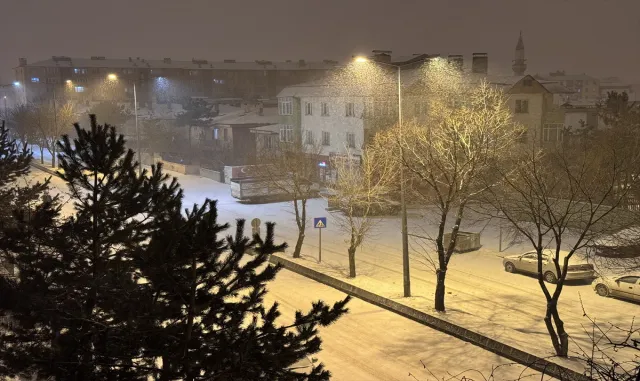 Erzurum ve Kars’ta kar yağışı etkili oluyor Erzurum ve Kars’ta kar yağışı etkili oluyor