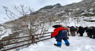 Ordu'da kayıp olarak aranan kadının cesedi dere yatağında bulundu