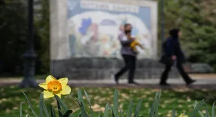 Gaziantep Botanik Bahçesi ilkbaharla renklendi
