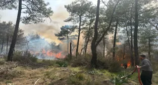 GÜNCELLEME - Antalya'da ormanlık alanda çıkan yangına müdahale ediliyor