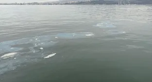 İzmir Körfezi'ne boya atığı deşarj eden firmaya 8,3 milyon lira ceza