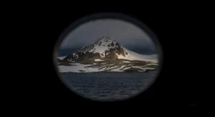 Türk bilim insanları Antarktika'nın doğasını lombozlardan izledi