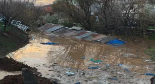 Bingöl'de sağanak nedeniyle su basan 2 ahırdaki 5 hayvan telef oldu