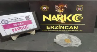 Erzincan'da uyuşturucu operasyonunda 9 şüpheli yakalandı