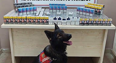 Kayseri'de kaçak sigara operasyonu!