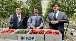 Kırşehir'de hidrojen enerjisiyle ısıtmalı sera kullanılmaya başlandı