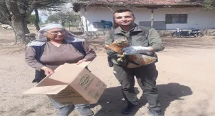 Kırşehir'de vatandaşın yaralı bulduğu kızıl şahin tedaviye alındı