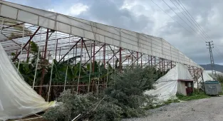 Mersin'de hortum bazı seralara zarar verdi 