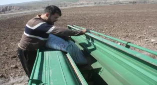 Yozgat'ta yerli yeşil mercimek çeşitlerinin deneme ekimi yapıldı