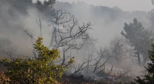 Beypazarı'nda yıldırım düşmesi sonucu çıkan yangın söndürüldü