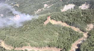 Çanakkale'de çıkan orman yangını söndürüldü