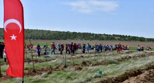 Kırşehir'de fidanlar toprakla buluştu