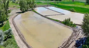 Kızılcahamam’da çeltik ekimi yapıldı 
