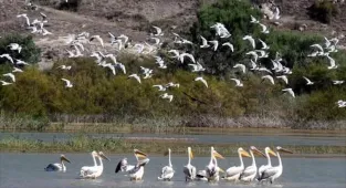 Nallıhan'da 8. Foto Safari Fotoğraf Yarışması yapılacak