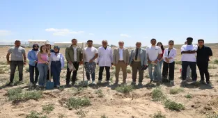 NÖHÜ'de yöresel yedi üzüm çeşidi toprakla buluşturuldu