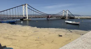 Prof. Dr. Mustafa Sarı, Bandırma ve Erdek'te görülen müsilaja ilişkin konuştu: