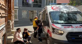 Tekirdağ'da sahipsiz köpeğin ısırdığı kadın yaralandı