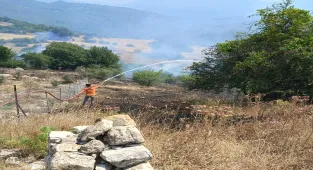 Antalya'da makilik alanda çıkan yangınına müdahale ediliyor