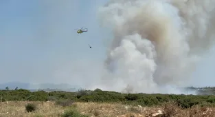 Aydın'da makilik alanda çıkan yangına müdahale ediliyor