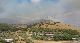 Aydın'da ziraat alanı ve makilikte çıkan yangın kontrol altına alındı