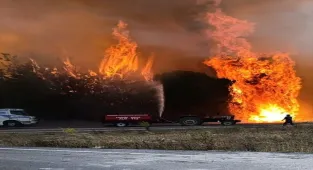 Balıkesir'de 4 noktada çıkan arazi ve orman yangınlarına müdahale ediliyor