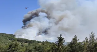 Balıkesir'de çıkan orman yangınına müdahale ediliyor