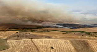 Balıkesir'de tarım arazisinde çıkan yangına müdahale ediliyor