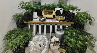 Bodrum'da iklimlendirme sistemiyle uyuşturucu üreten 2 zanlıdan biri tutuklandı