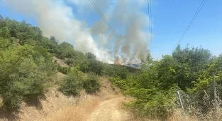 Bursa'da çıkan orman yangınına müdahale ediliyor