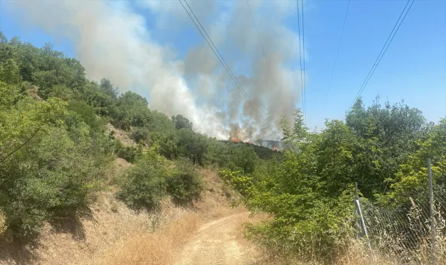 Bursa'da çıkan orman yangınına müdahale ediliyor