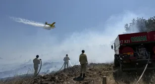 Çanakkale'de çıkan orman yangını söndürüldü