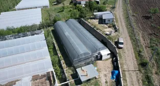 Çubuk'ta ata tohumundan üretilen organik fideler ülke geneline gönderiliyor