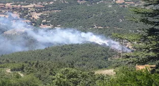 GÜNCELLEME 2 - Adana'da çıkan orman yangını kontrol altına alındı