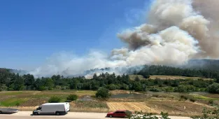 GÜNCELLEME 3- Bursa'nın Orhaneli ilçesinde anızda başlayıp ormana sıçrayan yangına müdahale ediliyor