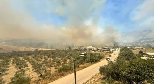 GÜNCELLEME 4 - Hatay'da ormanlık alanda yangın çıktı