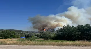 GÜNCELLEME 5 - Bursa'nın Orhaneli ilçesinde anızda başlayıp ormana sıçrayan yangın kontrol altına alındı