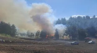 GÜNCELLEME - Adana'nın Kozan ilçesinde orman yangını çıktı
